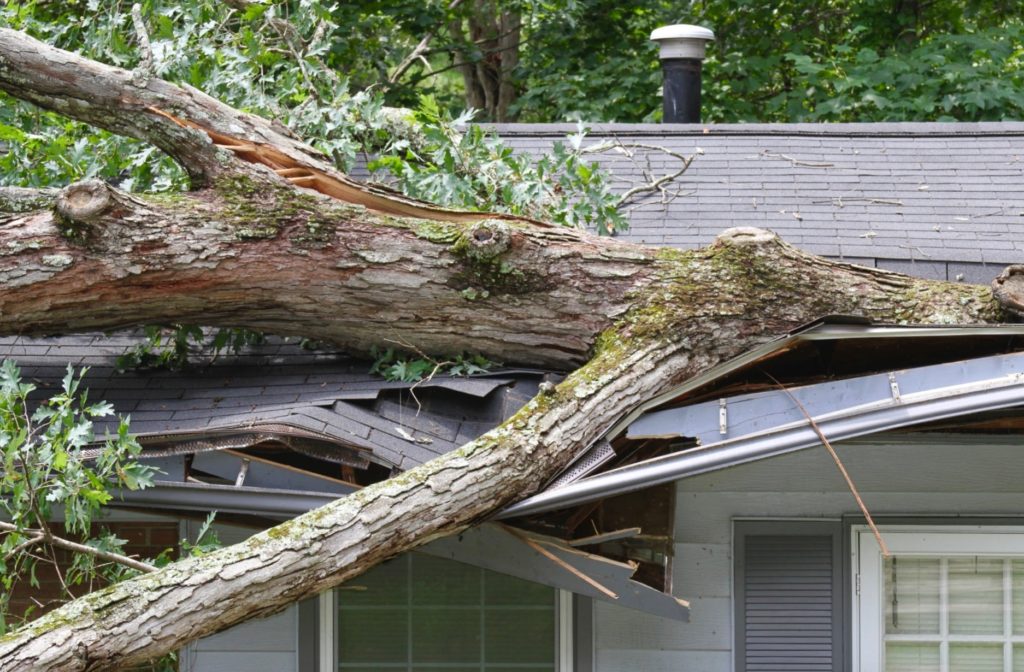 How to Protect Your House from Strong Winds
