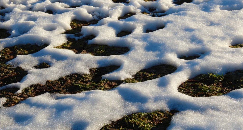 Nieve y deshielo