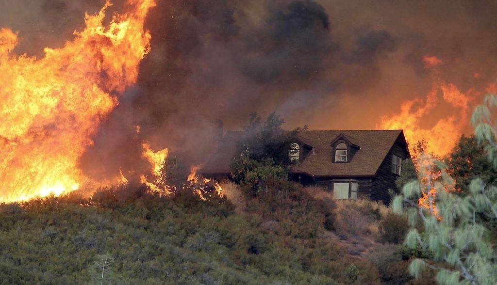 How to Protect Your Home from Forest Fire