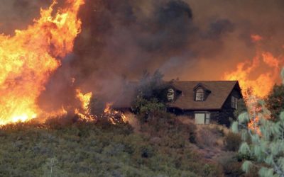 How to Protect Your Home from Forest Fires