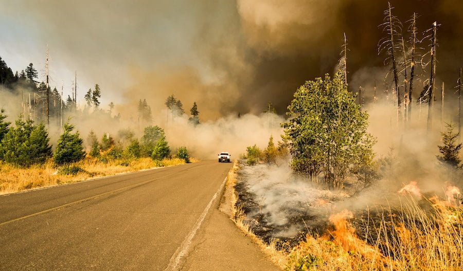 Driving Through a Forest Fire