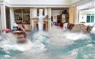 Fire and Flood: Are YOU Safe?