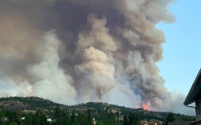 Wildfire Preparedness Plan for Your Household During COVID 19