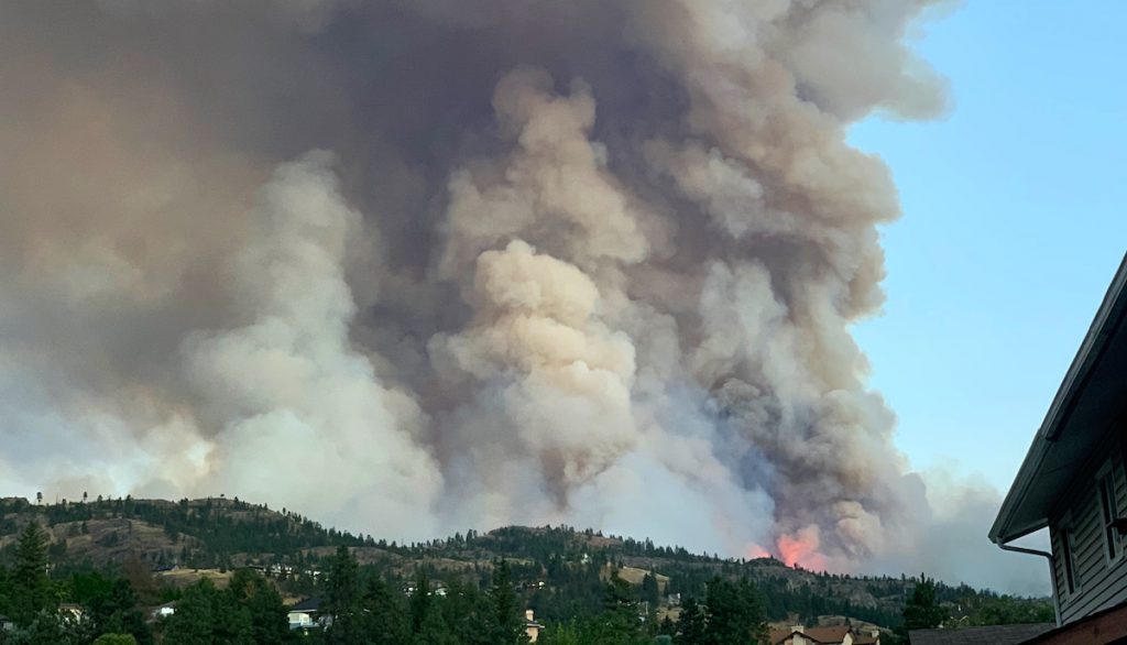 Wildfire Preparedness Plan for Your Household During COVID 19