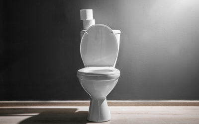 Don’t Throw Money Down the Toilet: Preventing Water Damage