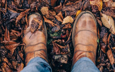 It’s Fall Alright! Managing Leaves for Safe Sidewalks