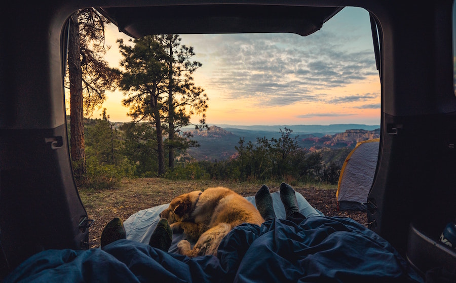 Camping With Your Dog Tips