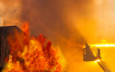 Preparing Your Business for Wildfire Season